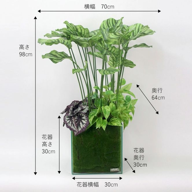 アートフラワー エミリオ・ロバ ギャザリングカラテア TTTTA06800