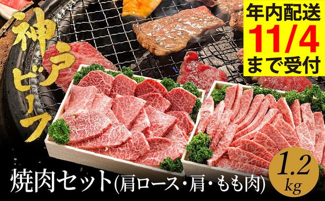 yɌLszēZbg _ˋ  ēp 1.2kgy[X 600g+E 600gz(TYYS5) Ă Zbg Hה   ~ An јa a Y ē ₫ɂ AEghA Lv BBQ cq c _˃r[tyAncƁzy11/4 󒍕܂ŔN