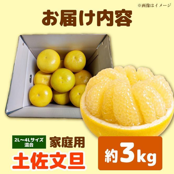 【先行予約】土佐文旦 大玉 家庭用 約3kg（2L～4Lサイズ混合：5玉～9玉） 数量限定 文旦 ぶんたん ブンタン 3キロ 柑橘 フルーツ 果物 ご当地 お取り寄せ 土佐 高知＜2027年1月中旬～順次発送＞【玉木農園】