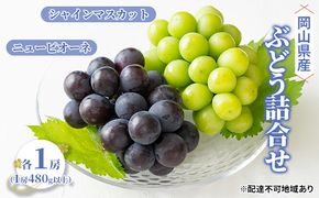 ぶどう 2026年 先行予約 詰合せ ニュー ピオーネ 1房（1房480g以上） シャイン マスカット 1房（1房480g以上） ブドウ 葡萄  岡山県産 国産 フルーツ 果物 ギフト 果物類 