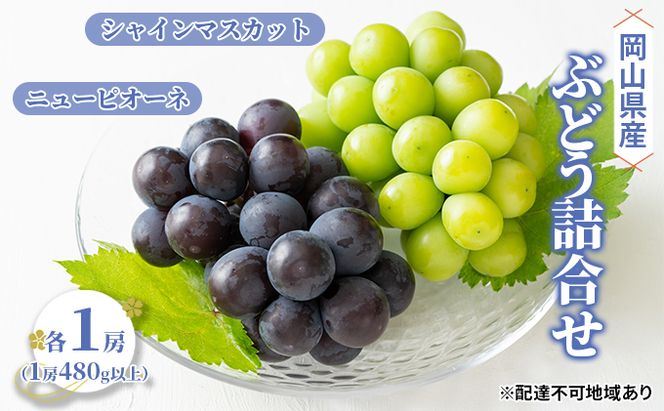 ぶどう 2026年 先行予約 詰合せ ニュー ピオーネ 1房（1房480g以上） シャイン マスカット 1房（1房480g以上） ブドウ 葡萄  岡山県産 国産 フルーツ 果物 ギフト 果物類 