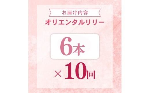 定期便10回 ユリ オリエンタルリリー 6本 花 切り花 プレゼント 贈り物 ギフト 誕生日 記念日 つぼみ 大輪 ピンク 白 香り 優雅 華麗 ブーケ フラワーアレンジメント 観賞用 インテリア 季節の花 高級感 花束 生花 福田園芸 オリエンタルハイブリッド 安芸市 高知県