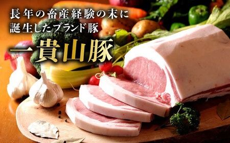 yszMR [XƂ񂩂EgeLp v480g(120g×4) s / q ؓ Ⓚ[AGB030] ؓ  uh MR |[N [X Iu |[NWW[