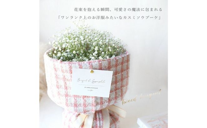 かすみそう「ツイードブーケ」 かすみ草 カスミソウ 花束(小さいサイズ) 花 誕生日 成人式 卒業祝い 初節句 ひな祭り バレンタイン お返し 結婚 ウエディング 送別 祝い プレゼント ギフト 結婚祝い お礼 花束 生花 ドライフラワーにも 送料無料 退職祝い お母さん 記念日 272230_BG112