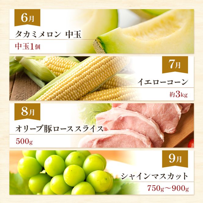 東かがわ市ちょこっと定期便(12回) 卵 キウイ 黒毛和牛 みかん いちご 讃岐うどん アスパラ トマト メロン コーン 豚肉 シャインマスカット 香川