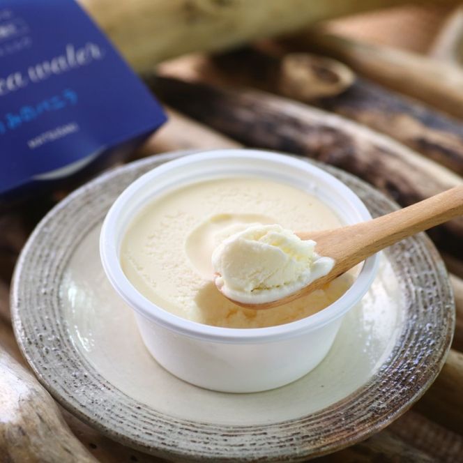 TV紹介 塩バニラアイス 9個 最中 カップ 室戸海洋深層水使用 高知 アイス アイスクリーム ご当地 スイーツ ご当地スイーツ 塩 もなか 最中アイス カップアイス 詰合せ 詰め合わせ ギフト ふるさと納税