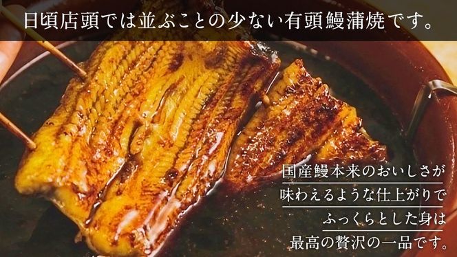 鹿児島県産 有頭 鰻 蒲焼 × 4尾 （ 1尾 135g ～ 155g 以上） うなぎ ウナギ 土用丑の日 家庭用 贅沢 国産 旬 敬老の日 タレ 山椒 付 縁起 [DQ008us]