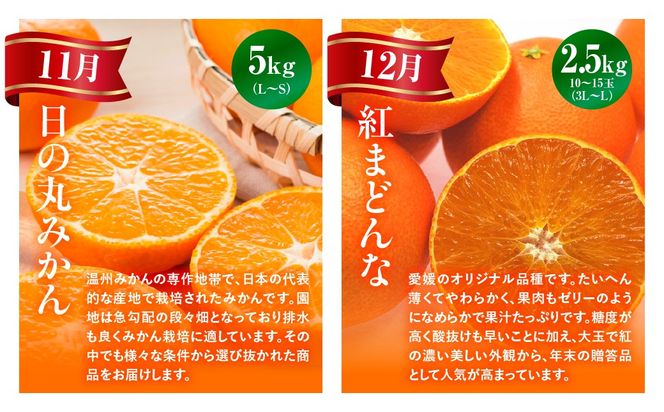 【愛媛県共通返礼品】【定期便】愛媛の柑橘定期便（全6回）（日の丸みかん・紅まどんな・いよかん・デコポン・せとか・河内晩柑） ※2026年11月～2027年4月に毎月1回発送予定 IKTAX018