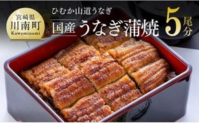 うなぎ【名店の味！宮崎県産鰻】 ひむか山道うなぎ蒲焼５尾分（650ｇ以上） 【 国産 鰻 蒲焼き 】ⅡⅤ [B08412]