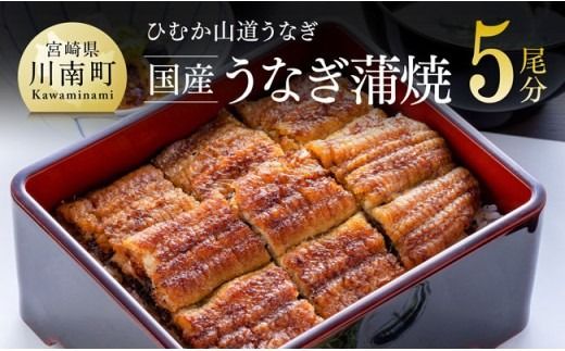 うなぎ【名店の味！宮崎県産鰻】 ひむか山道うなぎ蒲焼５尾分（650ｇ以上） 【 国産 鰻 蒲焼き 】ⅡⅤ [B08412]