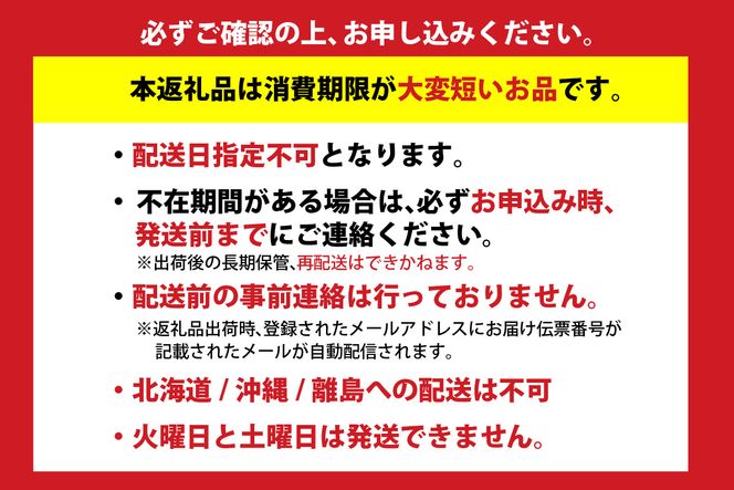 【ほたるいか ボイル 小分け 250g×2パック 500g 酢味噌付 冷蔵】【令和8年3月以降発送予定】 生 ホタルイカ いか イカ 烏賊 茹で しゃぶしゃぶ 国産 兵庫県産 鮮度抜群 新鮮 おすすめ ふるさと納税 返礼品 兵庫県 香美町 香住 モリタ食品 6000円 10-13