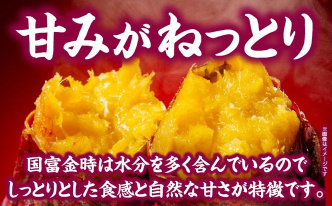 蜜芋 国富金時セット (蜜芋400g×5＋干し芋150g×3) さつまいも 焼き芋 やきいも 干し芋 ほしいも スイーツ 甘い 真空パック 蜜芋 デザート セット ご褒美 おやつ お取り寄せ 贈り物 ギフト プレゼント