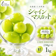 【2026年産】北海道 仁木町産 シャインマスカット 粒 1kg (250g×4) 化学肥料・除草剤不使用 ぶどう フルーツ 果物 くだもの [Farm Watanabe]