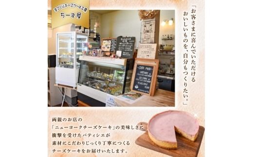 3回 定期便 ラズベリーベイクド チーズケーキ 4号 12cm 冷凍 スイーツ デザート ケーキ ベリー 洋菓子 お菓子 おやつ 手作り お取り寄せ ご褒美 ギフト プレゼント 贈り物 誕生日 記念日 パーティー 濃厚 クリーミー 酸味 爽やか サワークリーム クッキー バター 専門店 チーズケーキ工房 ちーず屋 数量限定 人気 おすすめ ランキング 3ヶ月連続 頒布会 高知県 安芸市