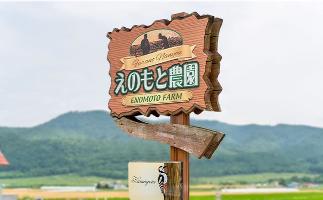 【2026年夏発送】北海道 富良野産 赤肉メロン 1玉 1.5kg～2kg ふらの メロン ギフト 果物 赤玉(榎本農園) メロン フルーツ 果物 新鮮 甘い 贈り物 ギフト 道産 ジューシー おやつ ふらの ブランド 夏 