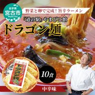 【宮古市】「道の駅」やまびこ館ドラゴン麺セット