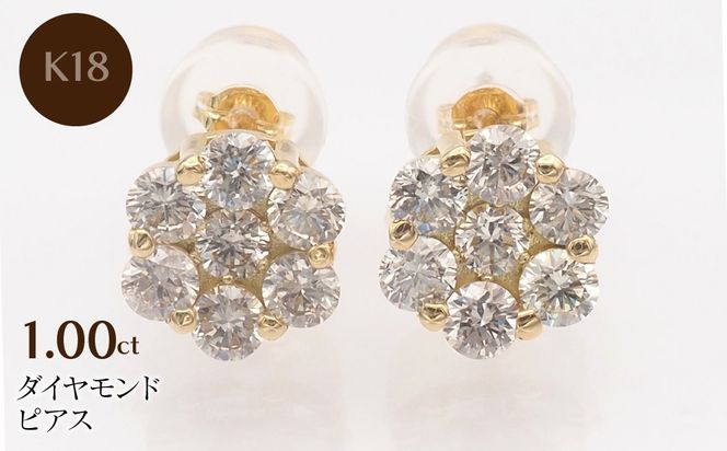 yRazK18 1.00ct _Ch sAX@ FP-000329 SWBT022-k18