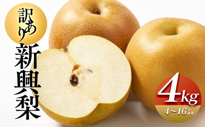 y挧khz927.ys\zy󂠂zV 4kgi4`16ʑOjʕ t[c ́@2026N10{`11{ɏ\ 313726_AN005