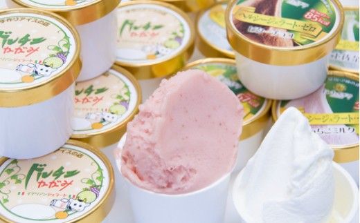 ドルチェかがみ 砂糖不使用のヘルシージェラートセット 6個入り - 送料無料 アイス 詰め合わせ 食べ比べ お楽しみ スイーツ デザート プレゼント 食物繊維 カロリーオフ ギフト 贈答用 贈り物 高知県 香南市 冷凍 dc-0058