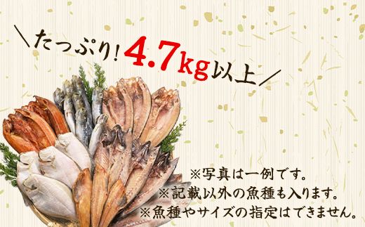 【2026年11月下旬発送】訳あり 干物・切身 セット 4.7kg 規格外 傷 不揃い