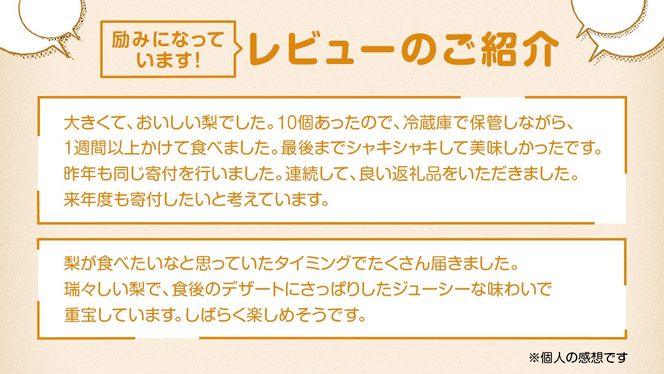 梨 豊水 約 10kg 【2026年9月より発送開始】（茨城県共通返礼品 [梨]：大子町産）田舎の頑固おやじが厳選！ 梨 豊水 高糖度 ギフト 甘い 美味しい フルーツ デザート [BI305-NT]