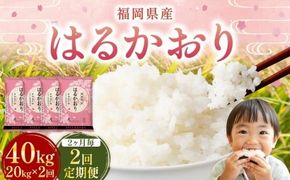 【2ヶ月毎2回定期便】 はるかおり 20kg 計40kg ／ 米 コメ お米 ライス ご飯 ごはん 飯 食品 精米 定期便 常温 福岡県 香春町