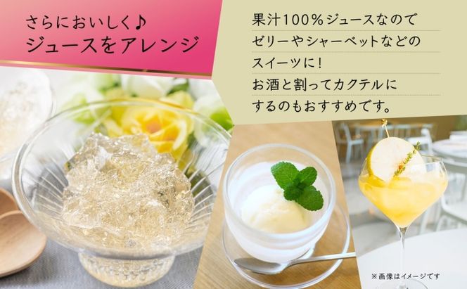無地熨斗 ポートランド リンゴ ジュース 飲み比べ 180ml 計10本 のし付き 常盤色の瞳 ぶどう 浅黄色の愁 りんご ジュース 果汁 100 ジュース ギフト 葡萄 林檎 自然農園 お取り寄せ ギフト のし 果汁飲料 