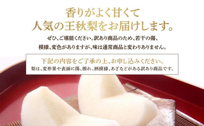 【先行予約】【訳あり】王秋梨 4kg（4～13玉前後）≪果物 フルーツ くだもの≫　※2026年10月下旬～12月上旬頃に順次発送予定 313726_AN004