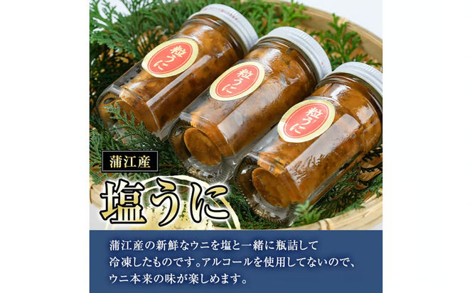 こだわりの塩うにセット(60g×3本)うに ウニ 雲丹 塩うに ミョウバン不使用 冷凍 海の直売所 大分県 佐伯市【AS93】【海べ】