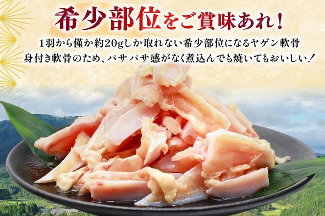 鶏肉 定期便 軟骨 若鶏 鶏軟骨 1kg 2p 6回 総計12kg [ミヤケイフード 宮崎県 美郷町 31bp0003] 小分け 冷凍 ヤゲン軟骨 ヤゲン なんこつ とりにく