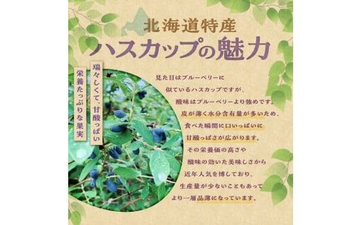 【2026年発送先行予約！】とかちしみずフルーツガーデンのハスカップジャムづくりセット_S009-0018