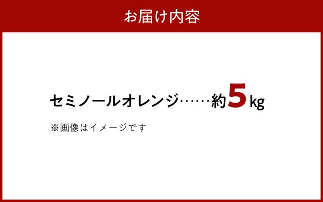 【2027年先行予約】ジューシー柑橘 セミノールオレンジ 約5kg_G7373