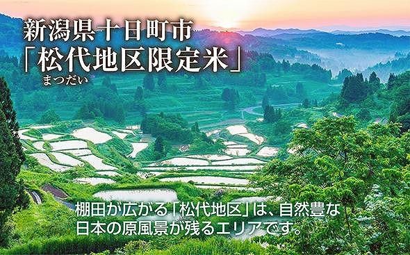 【無地熨斗】 棚田米 魚沼産 コシヒカリ 5kg 新潟県 十日町市 松代地区 限定 棚田 こしひかり （お米屋秘伝！美味しいご飯の炊き方ガイド付き） 精米 ブランド米 銘柄米 