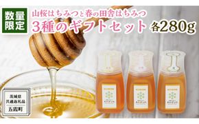 【 数量限定 】山桜 はちみつ と春の 田舎はちみつ の 3種 ギフト セット [ B3山桜 280g ]（ 茨城県共通返礼品： 五霞町 ） 生ハチミツ 蜂蜜 非加熱 茨城県産 国産 天然 純粋 贈答用 [EG002us]
