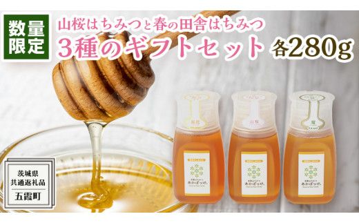 【 数量限定 】山桜 はちみつ と春の 田舎はちみつ の 3種 ギフト セット [ B3山桜 280g ]（ 茨城県共通返礼品： 五霞町 ） 生ハチミツ 蜂蜜 非加熱 茨城県産 国産 天然 純粋 贈答用 [EG002us]