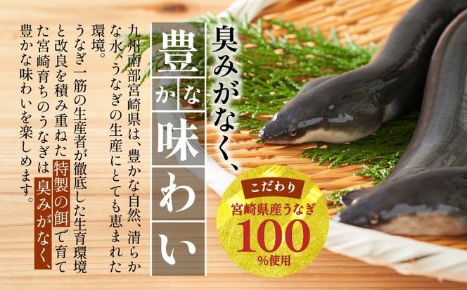宮崎県育ちの【特大】うなぎ蒲焼2尾440g以上≪山椒・たれ付≫_18-M301