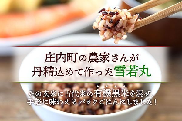 雪若丸 特別栽培玄米 パックごはん 160g×24個 有機黒米入 健康 ダイエット 備蓄 保存食 防災 簡単レンジ 温めるだけ 湯煎調理 レトルト ごはん ライス 玄米