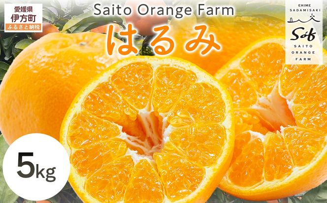 yQɕzys\zSaito Orange Farm̂͂5kgi2026N2㒆{菇j IKTAQ016
