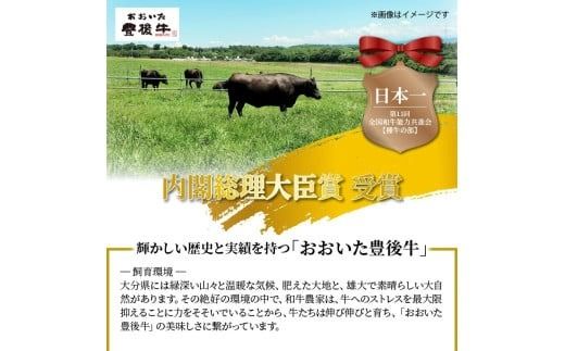 冷蔵発送/極上！おおいた和牛ヒレステーキ150g×3枚_1962R