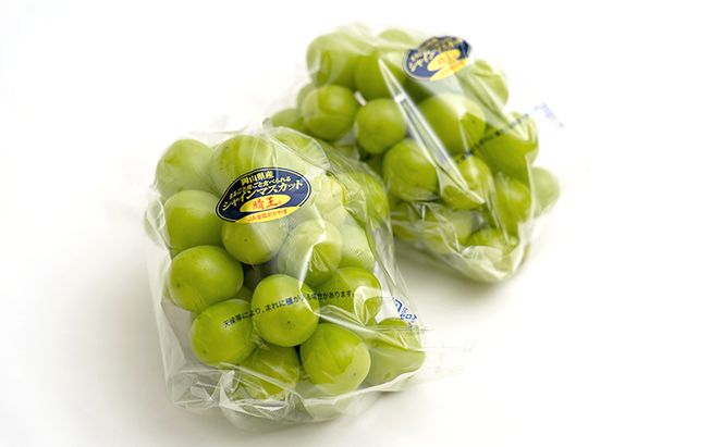 フルーツ 2026年 先行予約 晴れの国 岡山 の フルーツ 定期便 2回コース 桃 ぶどう 岡山県産 国産 フルーツ 果物 ギフト マスカット もも モモ お楽しみ 高級ぶどう