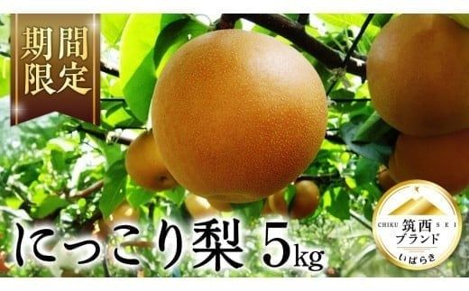 【 JA 北つくば 】 筑西ブランド 認証品 にっこり 5kg 2026年産 先行予約 梨 果物 フルーツ なし ナシ 和梨 [AE030ci]