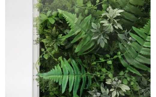 高級インテリアグリーン　Lサイズ