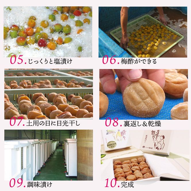 【贈答用】紀州南高梅　こんぶ風味梅干　1000g　化粧箱入 | 1kg ギフト プレゼント 国産 ※北海道・沖縄・離島への配送不可