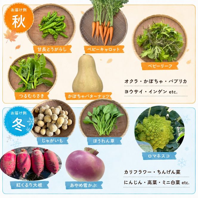 野菜 定期便 4回 詰め合わせ 10種 よしむら農園 オーガニック 有機 有機野菜 やさい ベジタブル おまかせ セット 一人暮らし おすすめ レタス とうもろこし トマト 有機栽培 JAS 栄養 贅沢 国産 大容量 人気 新鮮 今が旬 香川県 丸亀市