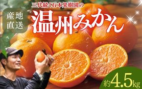【先行予約】石本果樹園の美味しい温州みかん 約4.5kg 35～40玉前後【2025年11月初旬から2026年1月下旬までに順次発送】 / みかん フルーツ くだもの 果物 温州みかん【min005B】