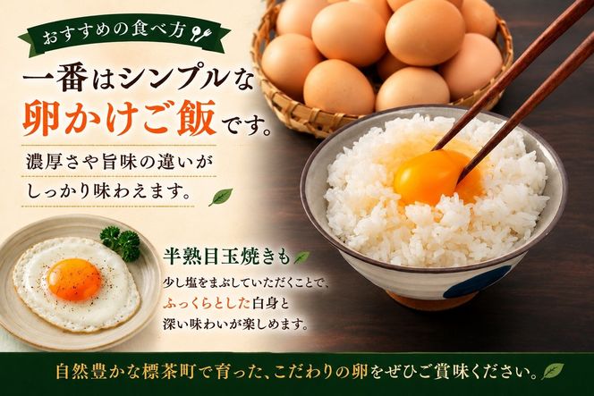 【限定50セット】標茶の恵み「平飼い 純国産 岡崎おうはん　こだわりの卵１箱 10個入り1セット」 016641_BT002