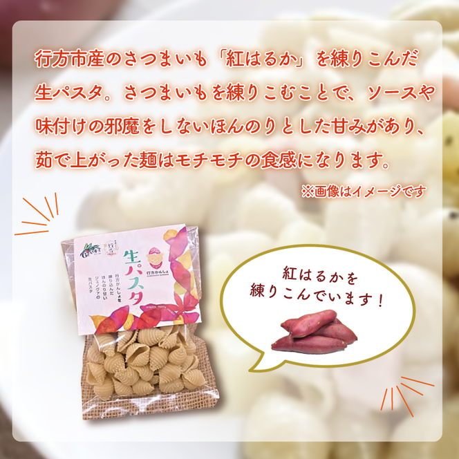 CJ-14 生パスタ （コンキリエ10食分）