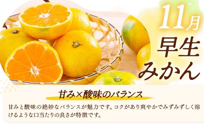 みかん 定期便 秀品 温州みかん 3ヶ月 選べる 内容量 計9kg 計15kg 計30kg 日本フルーツ株式会社《10月上旬-12月末頃出荷》熊本県 長洲町 ミカン 蜜柑 柑橘類 極早生 早生 中生 果物 フルーツ---sn_nfumtei_23000_mini_oct3---
