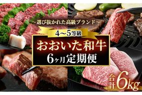 ＜定期便・全6回 (隔月)＞おおいた和牛 定期便 (総量6kg) しゃぶしゃぶ ステーキ 焼肉 すき焼き モモ サーロイン ソース付き ばら ロース ヒレ 小分け 国産 4等級 和牛 牛肉 大分県 佐伯市【DP70】【(株)まるひで】