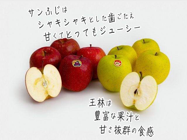 りんご 青森 サンふじ 王林 約 5kg (12～18玉) リンゴ 詰め合わせ セット 青森県 鰺ヶ沢町産 木村りんご園 フルーツ 果物 果物類 白神山地 林檎